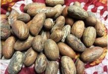 Kola-Nut-Market