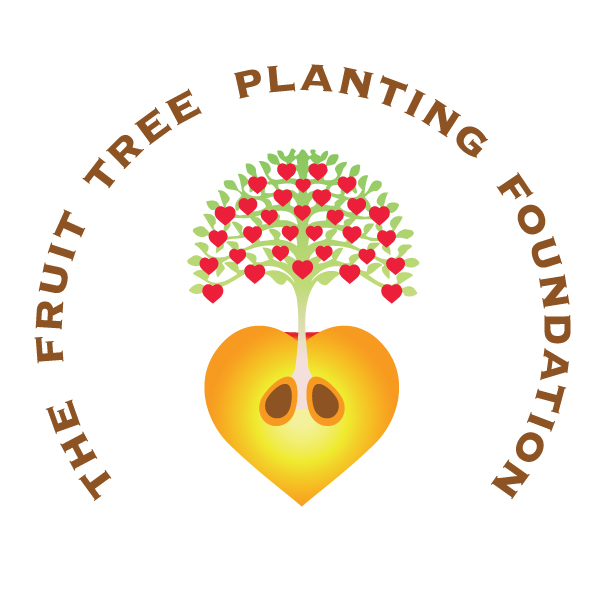 Apply for Fruit Tree Planting Foundation Assistance for Fruit Orchards