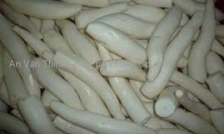 Utilization of cassava in nonruminant livestock feeds 3